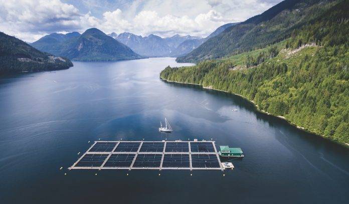 FishFarm1