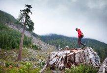 Big Lonely Doug Douglas Magazine Vancouver island news