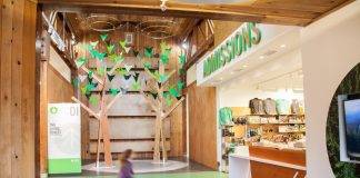 Forests Forever exhibit at BC Forestry Museum