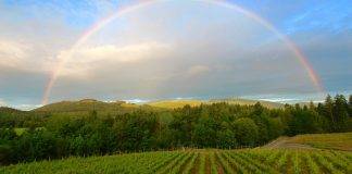 Blue Grouse Winery Helps Children in Need in Cowichan Valley