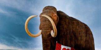 Royal BC Museum Announces Re-Opening Royal BC Museum Announces Re-Opening