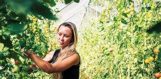 Emily Harris of The Plot Market Garden