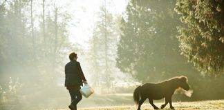 McKenzie Lake Blog Estate Planning
