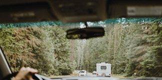 Driving through forest on Vancouver Island