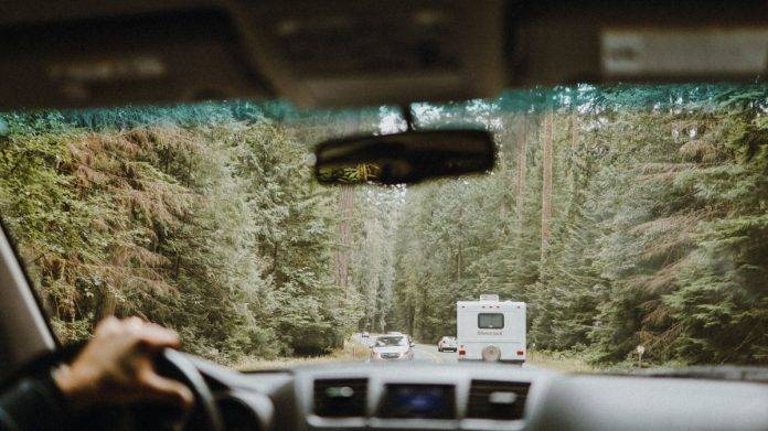 Driving through forest on Vancouver Island