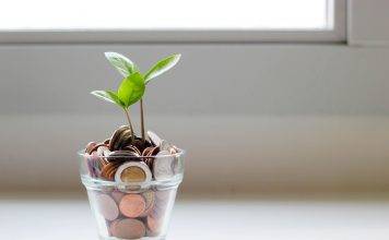 plant in coins