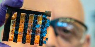 perovskite solar cell