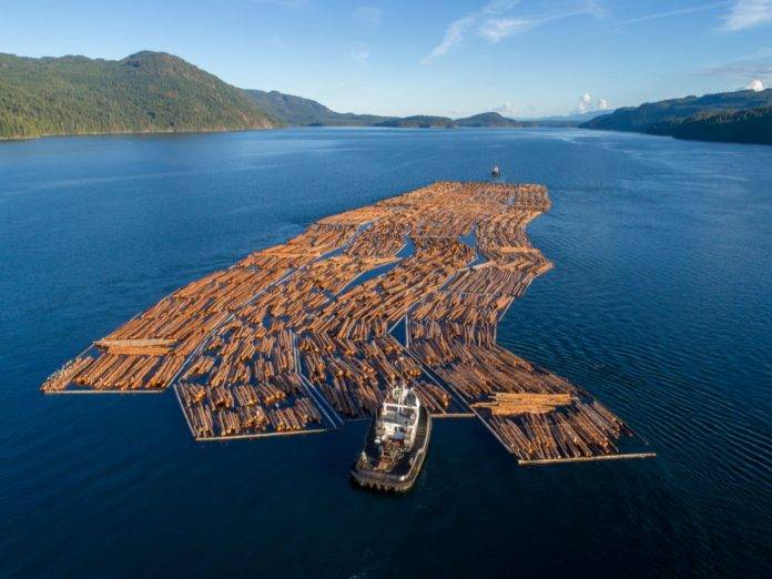 aerial view of log booms in Campbell River