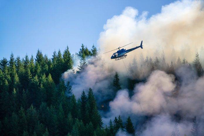 Forest Fire in British Columbia, Canada The Risk Factor