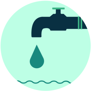 6 tried, tested and true steps to going green