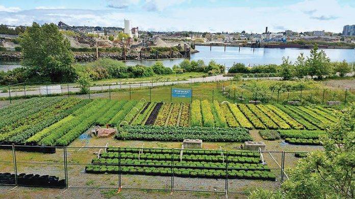 Farm in a box - Douglas Aug/Sept 22