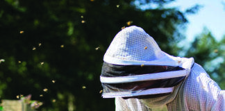 The business of bees - Douglas 10 to watch issue 2023