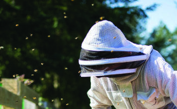The business of bees - Douglas 10 to watch issue 2023