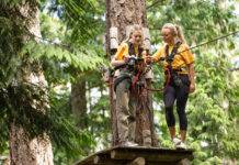 The top 5 ways hiring a UVic co-op student can boost your business - Sponsored content May 2023