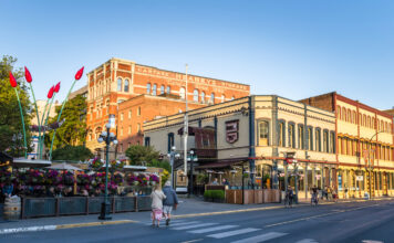 Douglas Weekly – August 21st Douglas Weekly - August 21st