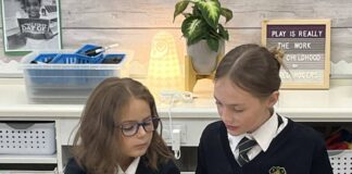 A year in the life of a St. Patrick School Parent - Sponcon 2024 Douglas