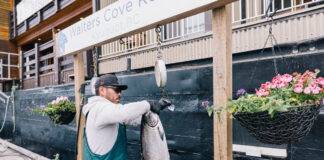 Across three projects, Island Coastal Economic Trust has invested $650,000 with Tiičma Enterprises. This investment has helped attract nearly $3.0 million in total investment, equating to $3.37 for each dollar contributed by the Trust.