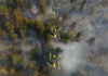 Fireswarm Drones Simulation