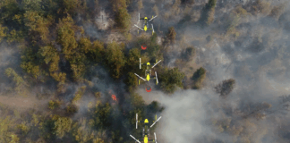 Fireswarm Drones Simulation