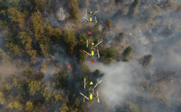 Fireswarm Drones Simulation