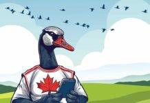 What’s Good for the Goose … Canadian goose using smartphone in nature.