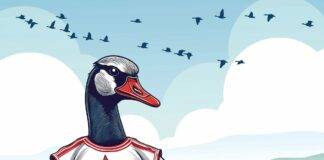 What’s Good for the Goose … Canadian goose using smartphone in nature.