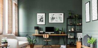 Zen @ Work Modern calm home office with plants