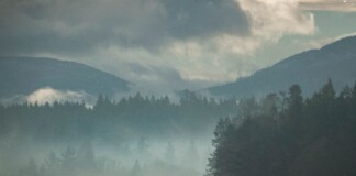 How the K’ómoks Treaty Could Shape the Comox Valley Economy