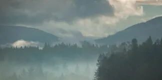 How the K’ómoks Treaty Could Shape the Comox Valley Economy