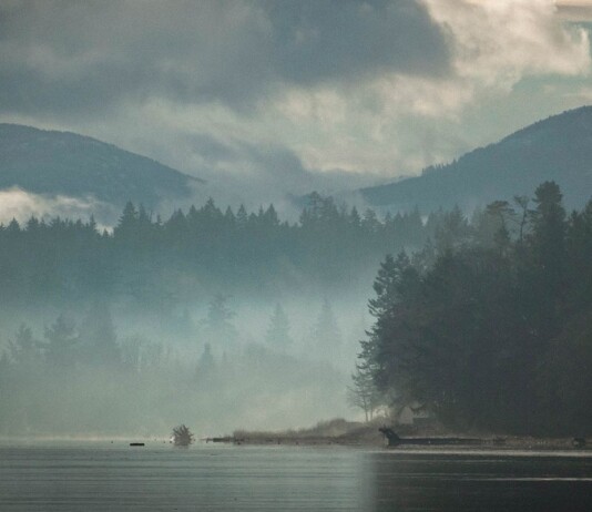 How the K’ómoks Treaty Could Shape the Comox Valley Economy