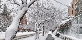 Victoria BC snowfall