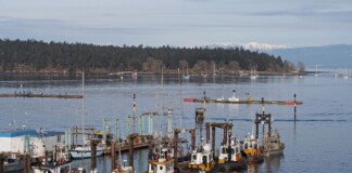 Tugboats docked in calm waters at Duke Point