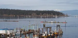 Tugboats docked in calm waters at Duke Point