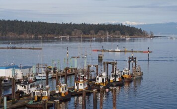 Tugboats docked in calm waters at Duke Point