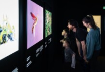 Family observing colorful nature exhibits at the RBCM