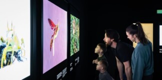 Family observing colorful nature exhibits at the RBCM