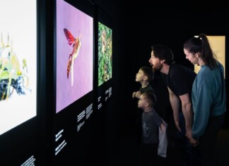Family observing colorful nature exhibits at the RBCM