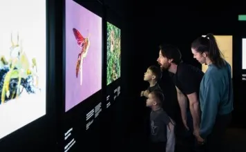 Family observing colorful nature exhibits at the RBCM